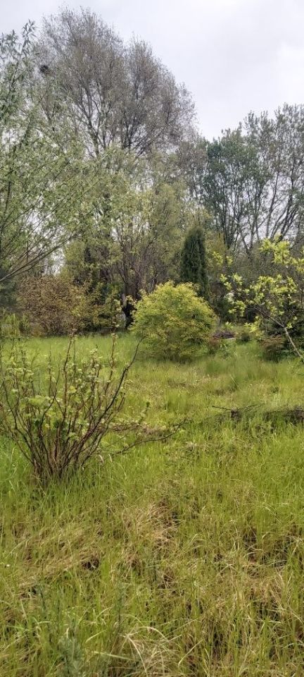 Działka rod Gdańsk Rębiechowo. Zdjęcie 3