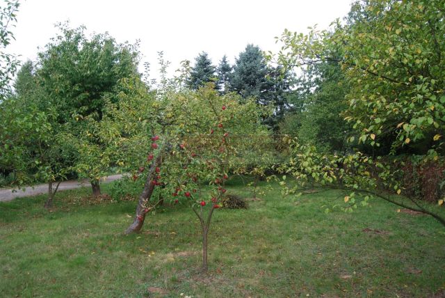 dom wolnostojący, 4 pokoje Niemce, ul. Willowa. Zdjęcie 36