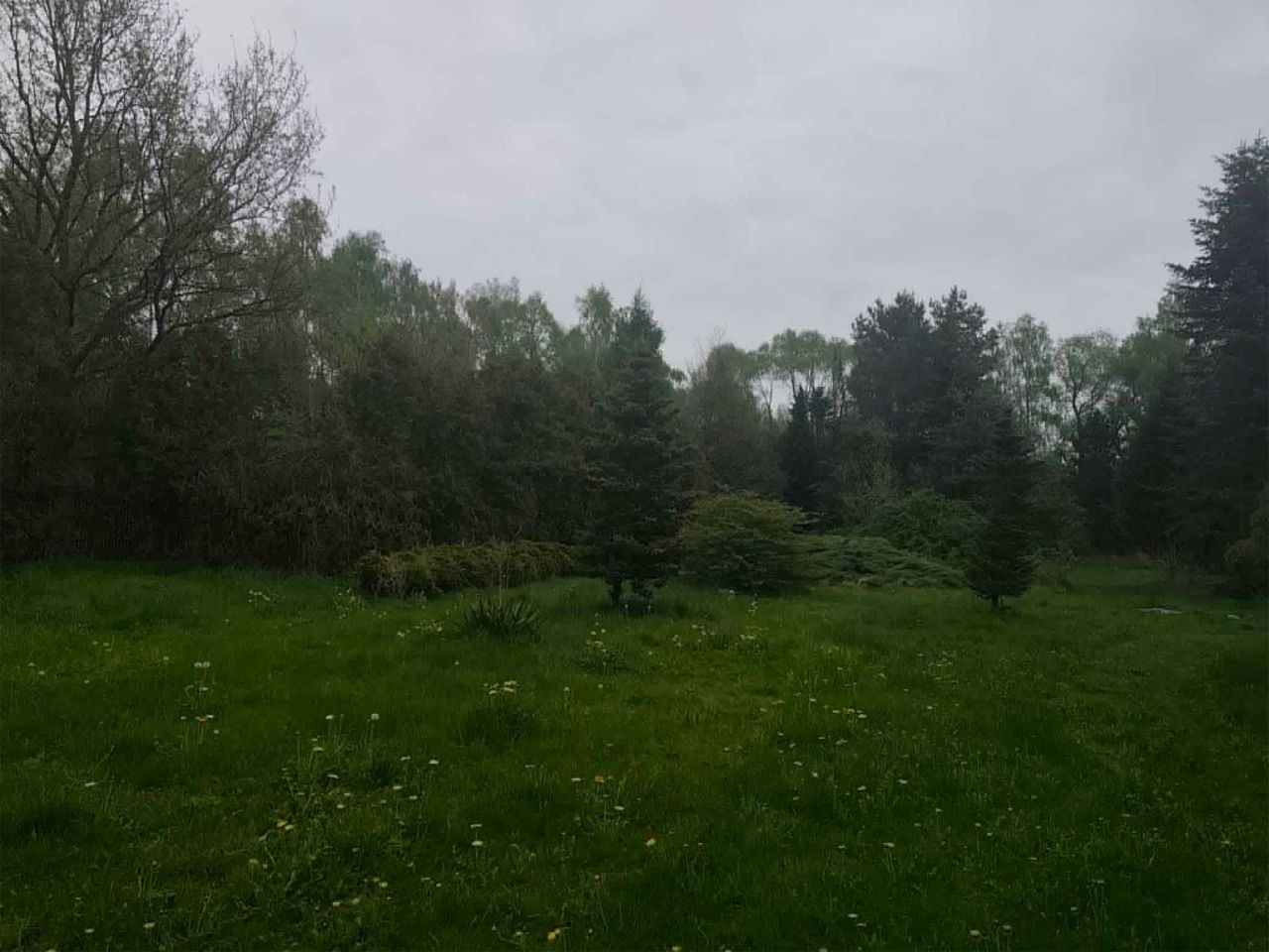 dom wolnostojący Korwinów. Zdjęcie 3