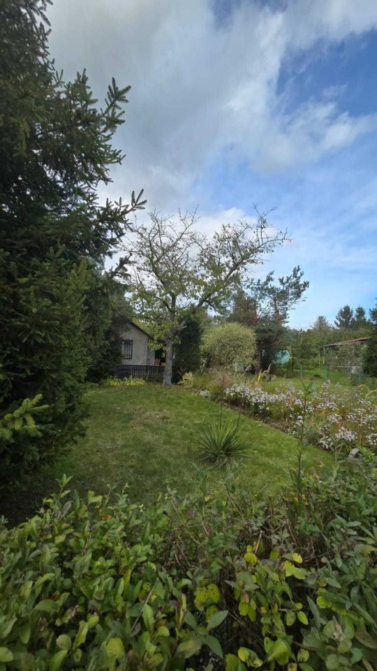 Działka rod Sosnowiec Pogoń, ul. Okólna. Zdjęcie 8