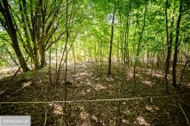 Działka rolno-budowlana Czapielsk. Zdjęcie 2