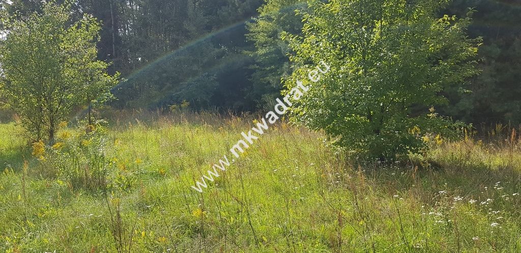 Działka budowlana Książenice. Zdjęcie 3