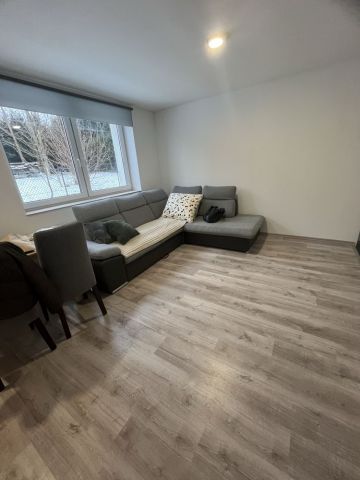 Mieszkanie 1-pokojowe Jasienica. Zdjęcie 1