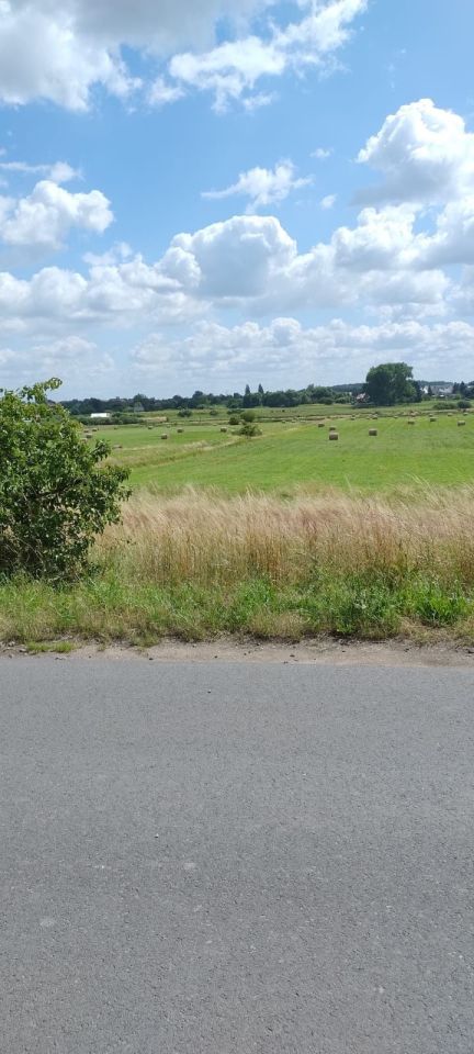 Działka budowlana Roztocze. Zdjęcie 2