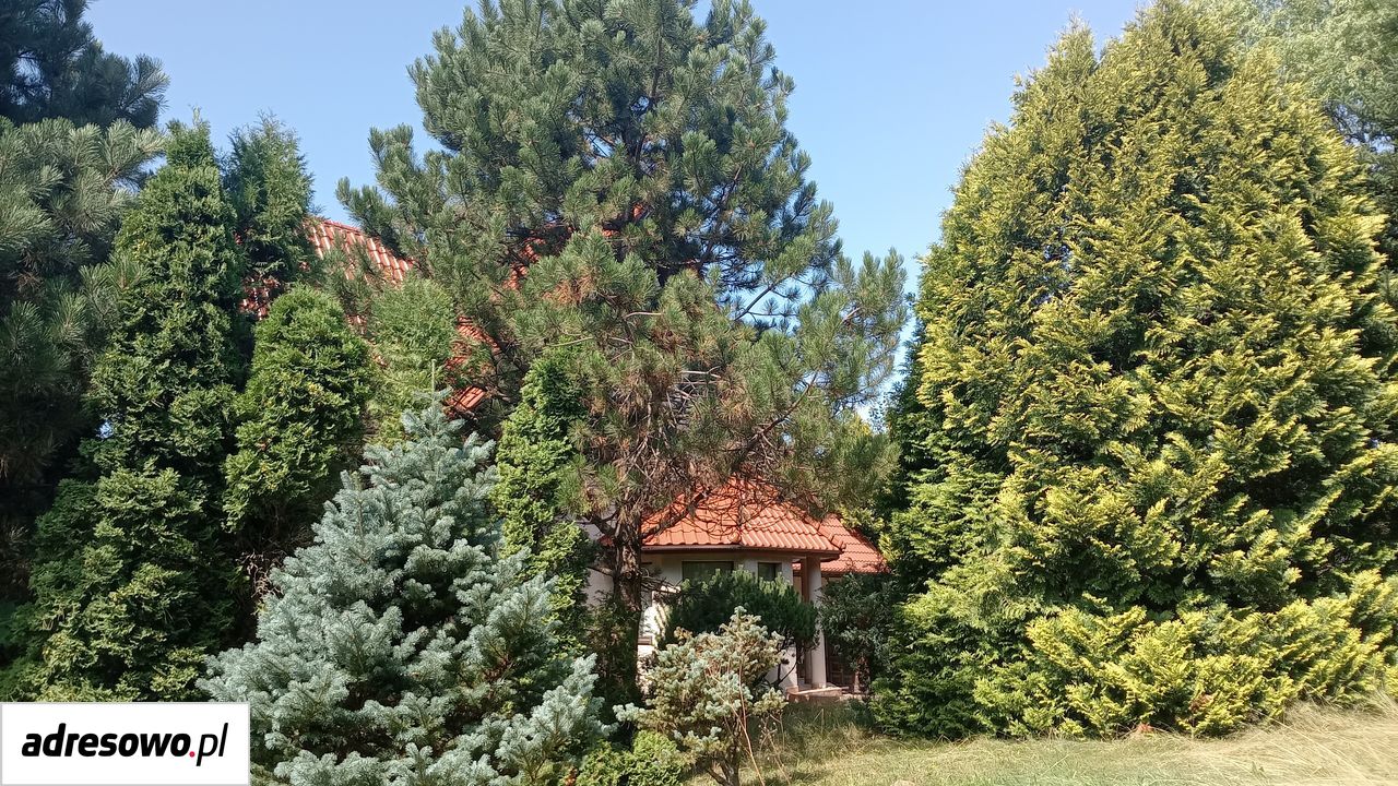 dom wolnostojący, 4 pokoje Trzemeśnia Brzeg. Zdjęcie 9