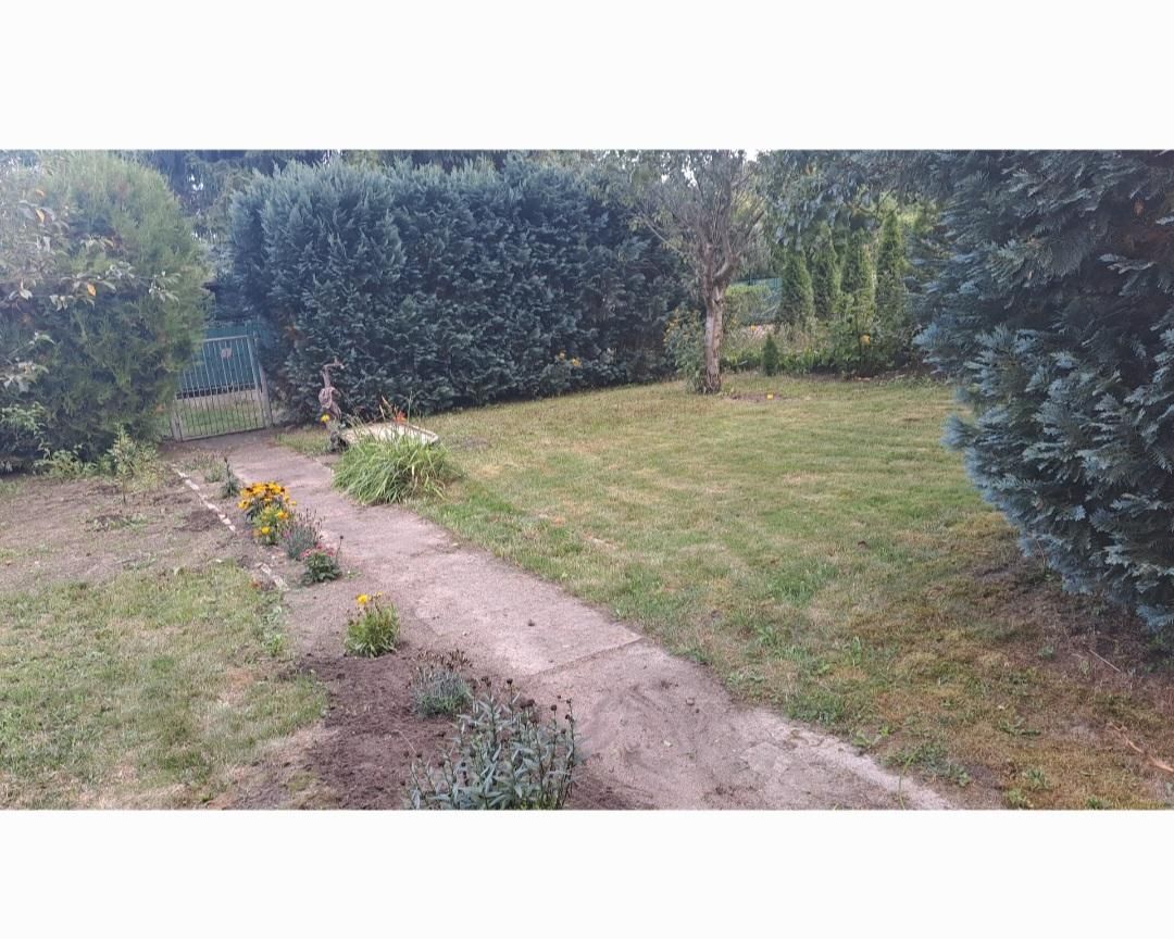 Działka rod Milanówek Turczynek, ul. Turczynek. Zdjęcie 2