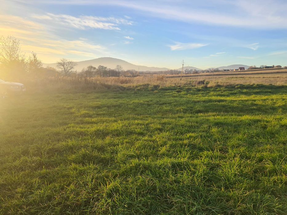 Działka rolna Pietrzykowice. Zdjęcie 6
