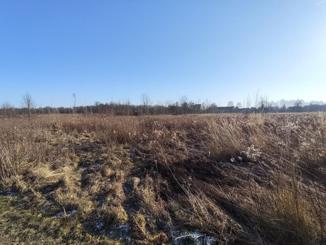 Działka rolna Karczyce. Zdjęcie 2