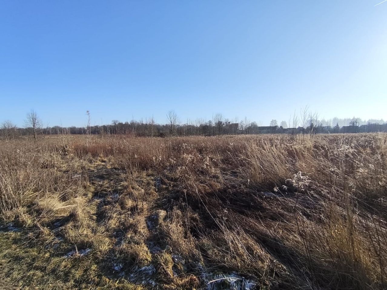 Działka rolna Karczyce. Zdjęcie 2