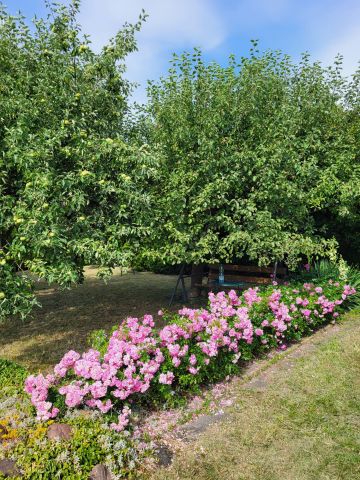 Działka rekreacyjna Lubin, ul. Ścinawska. Zdjęcie 1