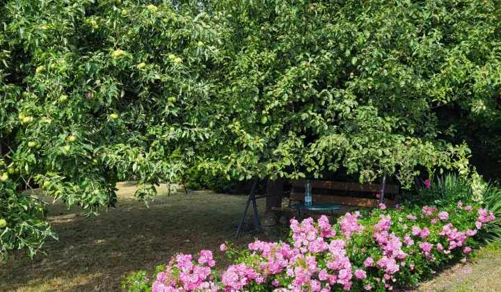 Działka rekreacyjna Lubin, ul. Ścinawska