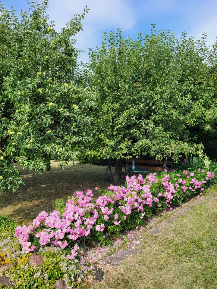 Działka rekreacyjna Lubin, ul. Ścinawska. Zdjęcie 1