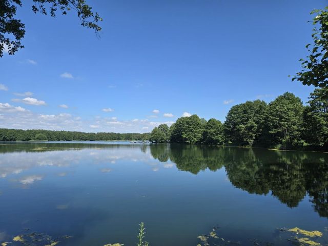 Działka budowlana Dąb Polski, ul. Liliowa. Zdjęcie 15