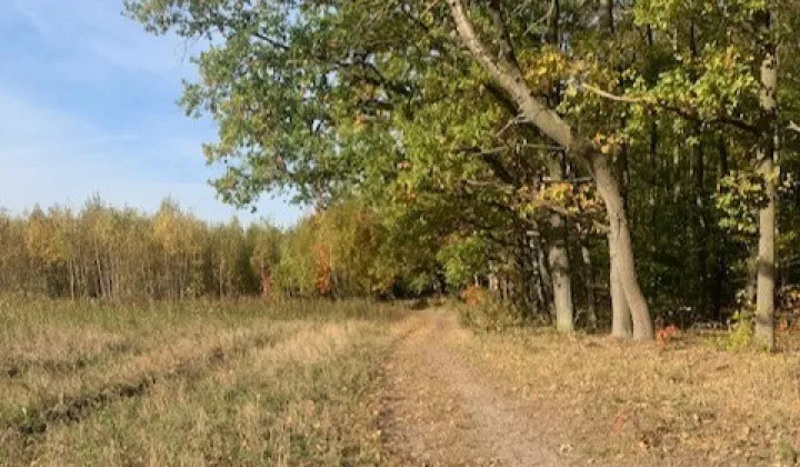 Działka inwestycyjna Pęchery, ul. Bolesława Chrobrego