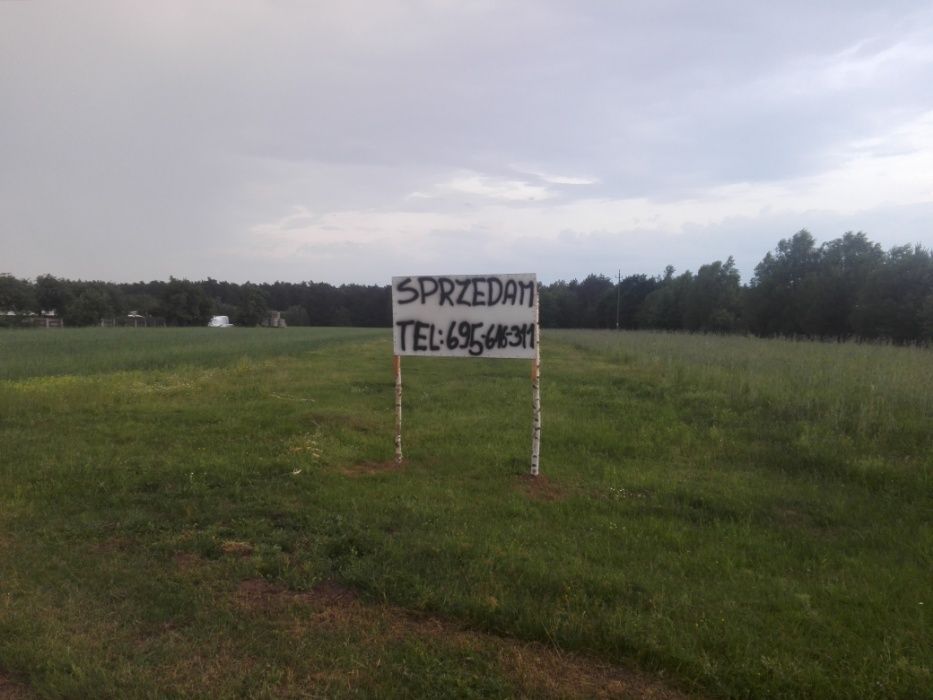 Działka rolno-budowlana Antoniów. Zdjęcie 2