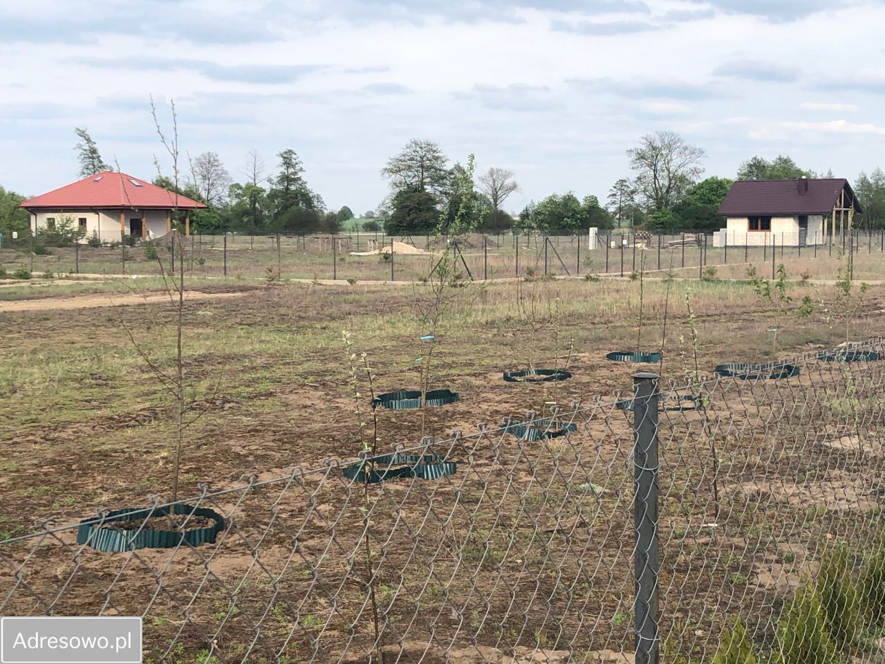 Działka budowlana Czarnowo. Zdjęcie 8
