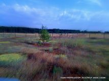 Działka budowlana Żeleźnica. Zdjęcie 4