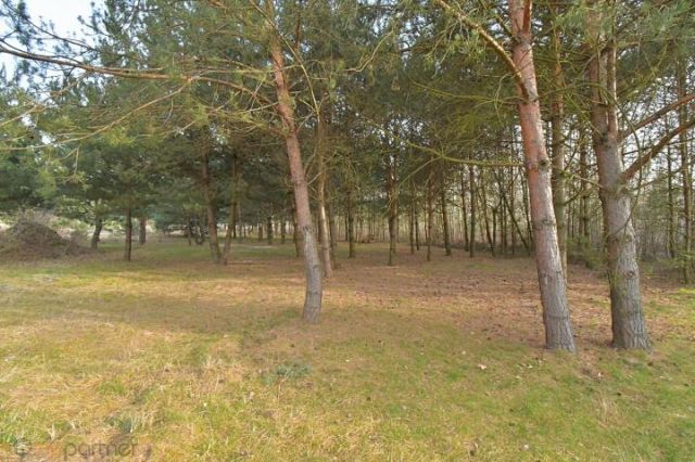 Działka budowlana Miłoszyce, ul. Bzowa. Zdjęcie 4