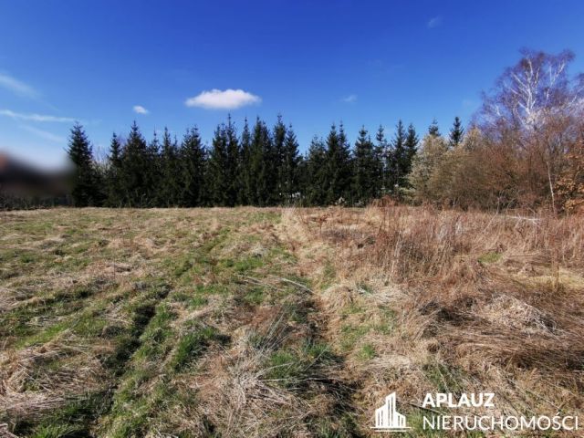 Działka rolna Łomnica. Zdjęcie 5