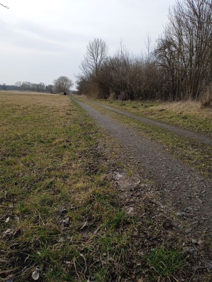 Działka rolno-budowlana Stare Komaszyce. Zdjęcie 3