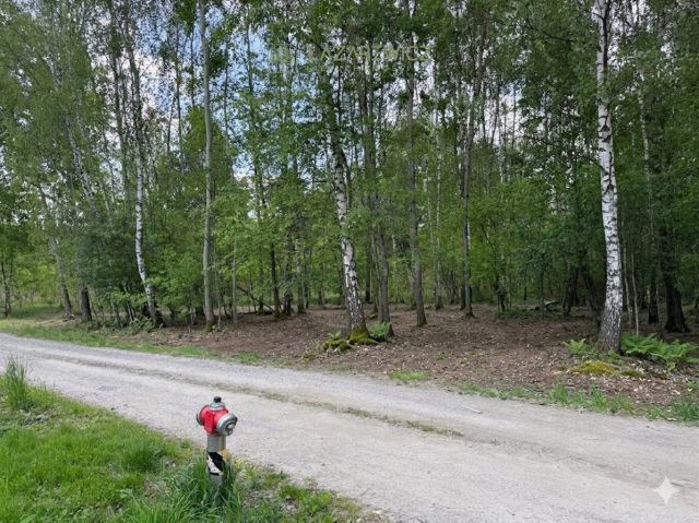 Działka budowlana Pogorzel, ul. Polna. Zdjęcie 1