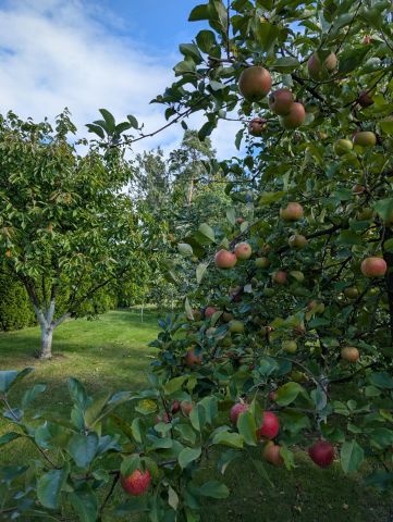 dom wolnostojący, 4 pokoje Dębowo, ul. Sosnowa. Zdjęcie 18