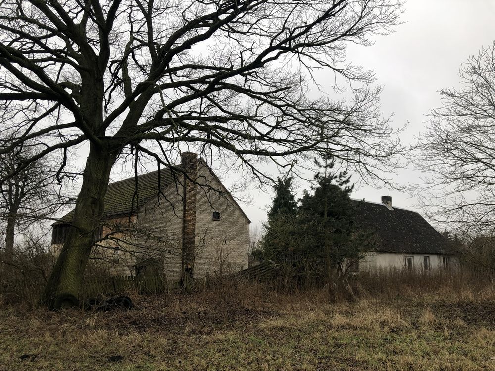 gospodarstwo Żółwin. Zdjęcie 5