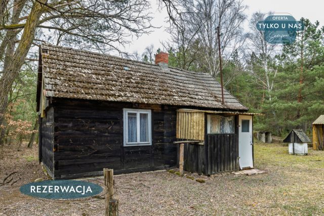 Działka leśna Kije. Zdjęcie 10