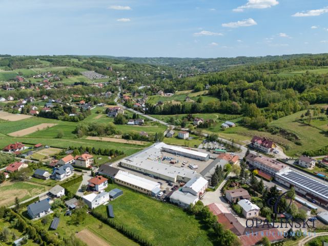 Lokal Lubenia. Zdjęcie 13