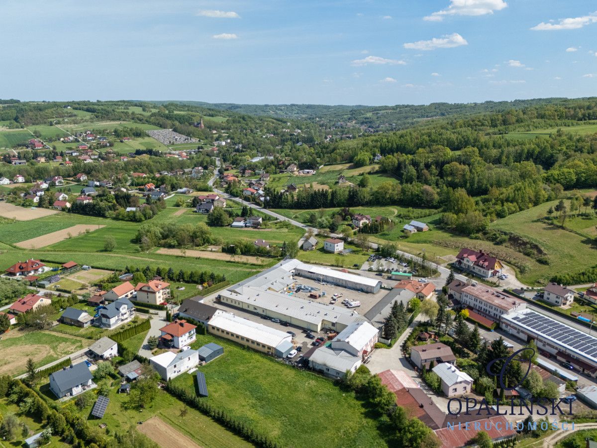 Lokal Lubenia. Zdjęcie 13