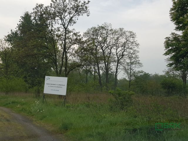 Działka Gliwice, ul. Nadbrzeżna. Zdjęcie 3