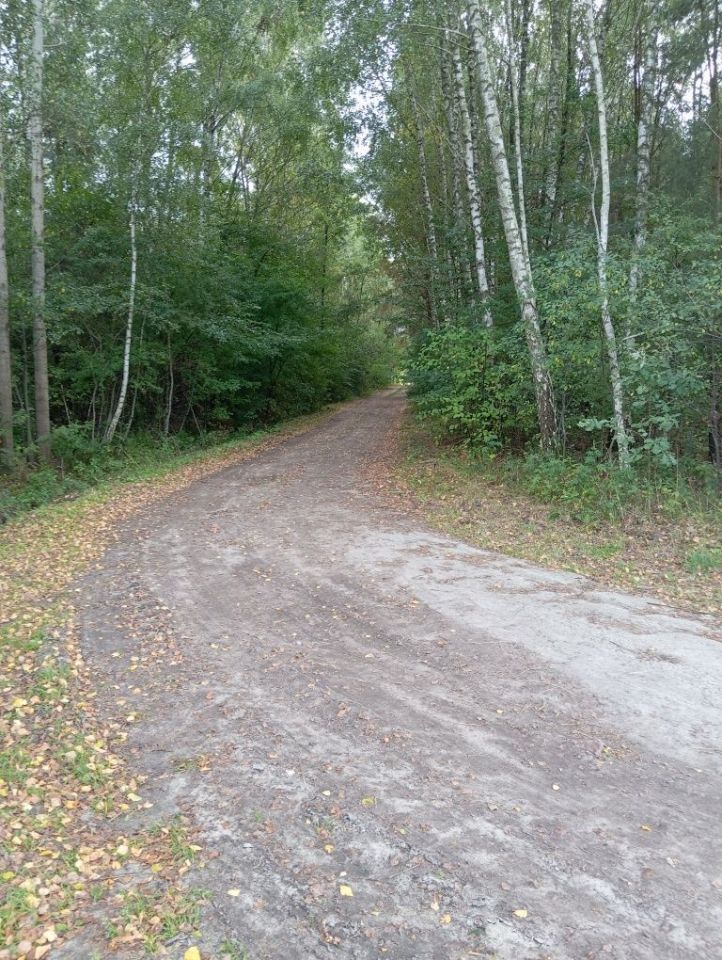 Działka budowlana Ciemniewo. Zdjęcie 5