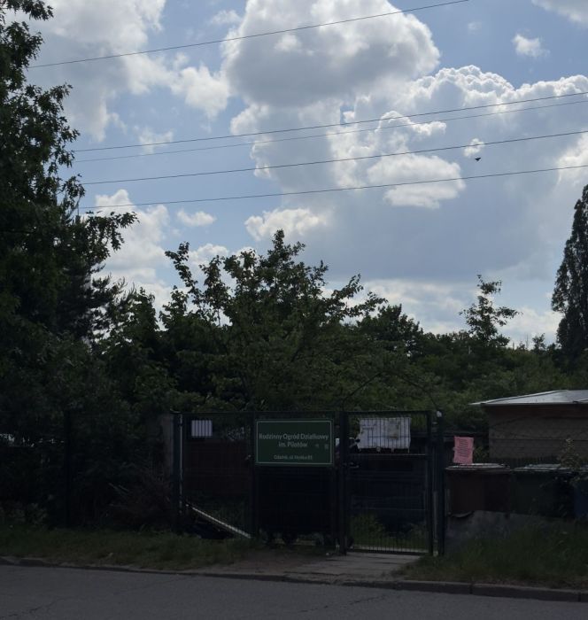 Działka rod Gdańsk Zaspa, ul. Franciszka Hynka. Zdjęcie 8