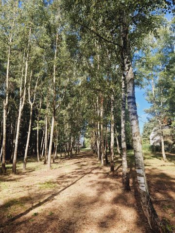 Działka rolno-budowlana Jastrzębnik, ul. Ziołowa. Zdjęcie 1