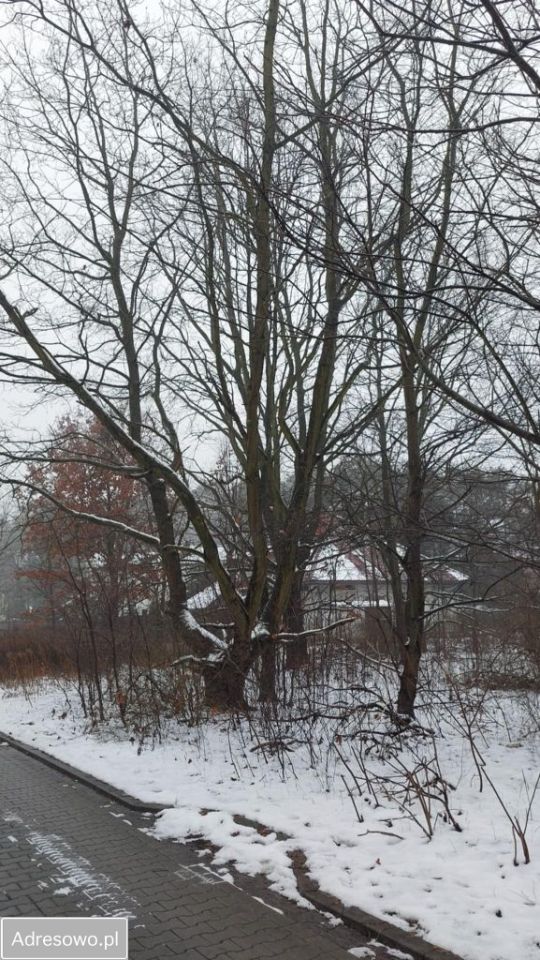 Działka budowlana Granica, ul. Gościnna. Zdjęcie 3