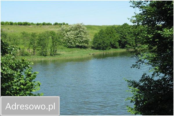 Działka budowlana Niedźwiedź. Zdjęcie 4