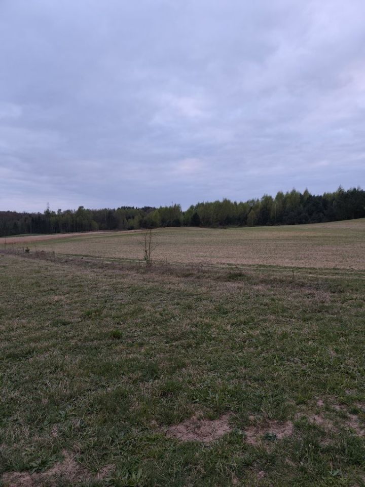 Działka rolno-budowlana Graniczna Wieś, ul. Jarzębinowa. Zdjęcie 4