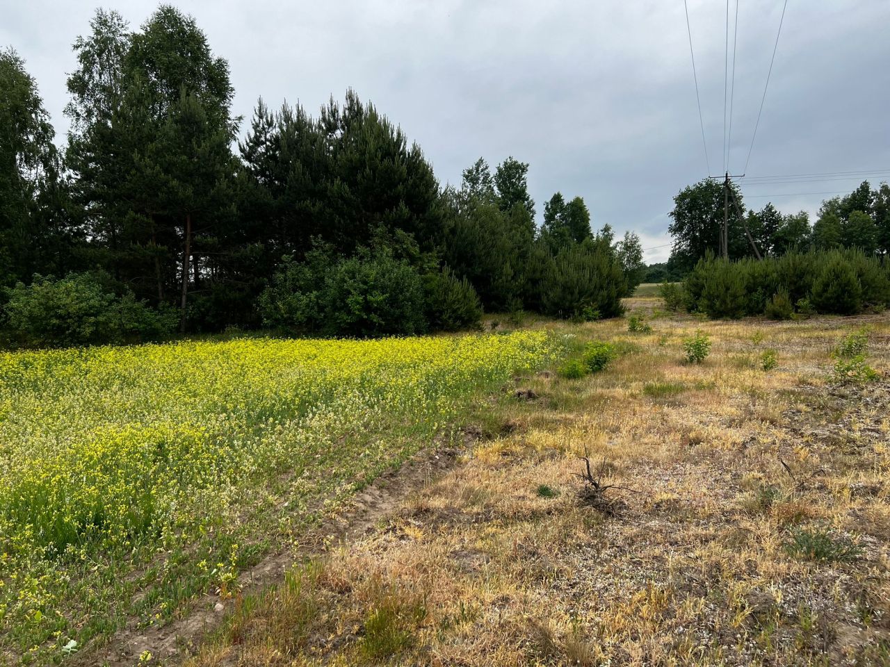 Działka budowlana Łąkie, Łąkie. Zdjęcie 2