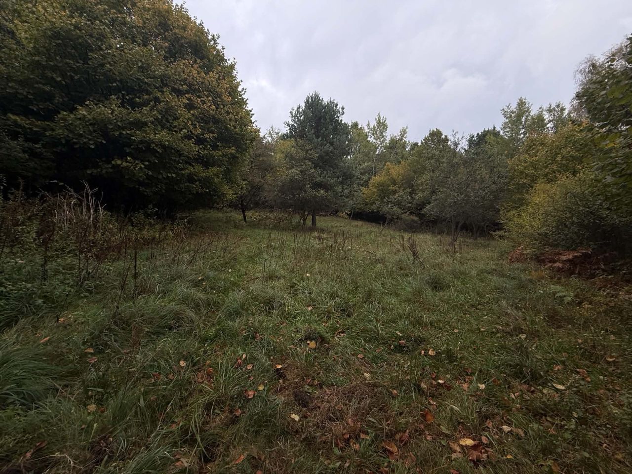 Działka rolna Chrzanów Kąty, ul. Bracka. Zdjęcie 12