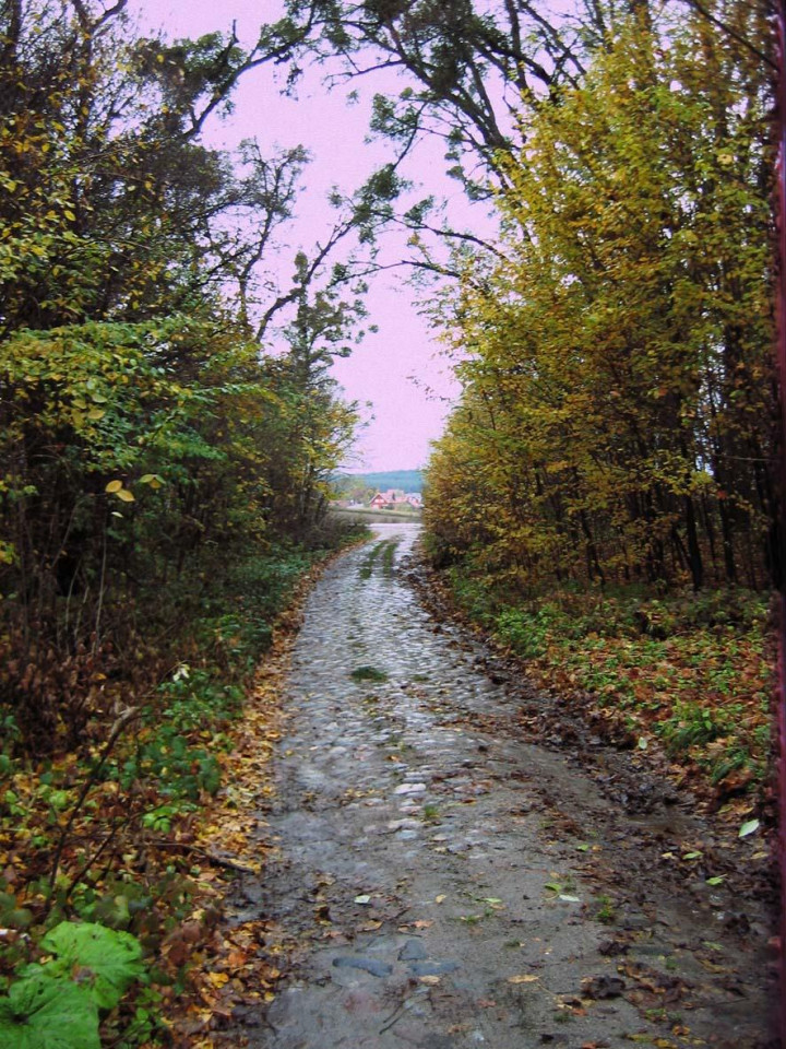 Działka budowlana Lublewo Gdańskie. Zdjęcie 6