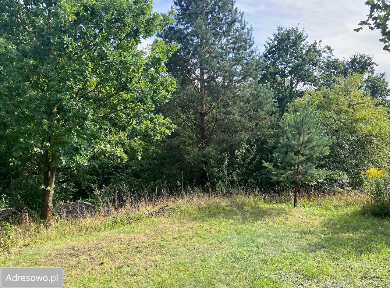Działka rekreacyjna Wierzchucinek. Zdjęcie 3
