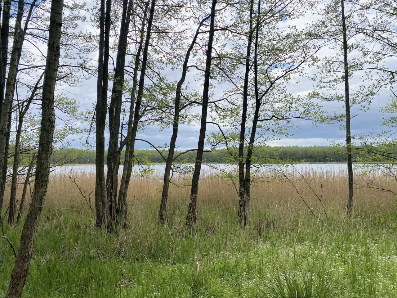 Działka rolna Swobodna. Zdjęcie 8