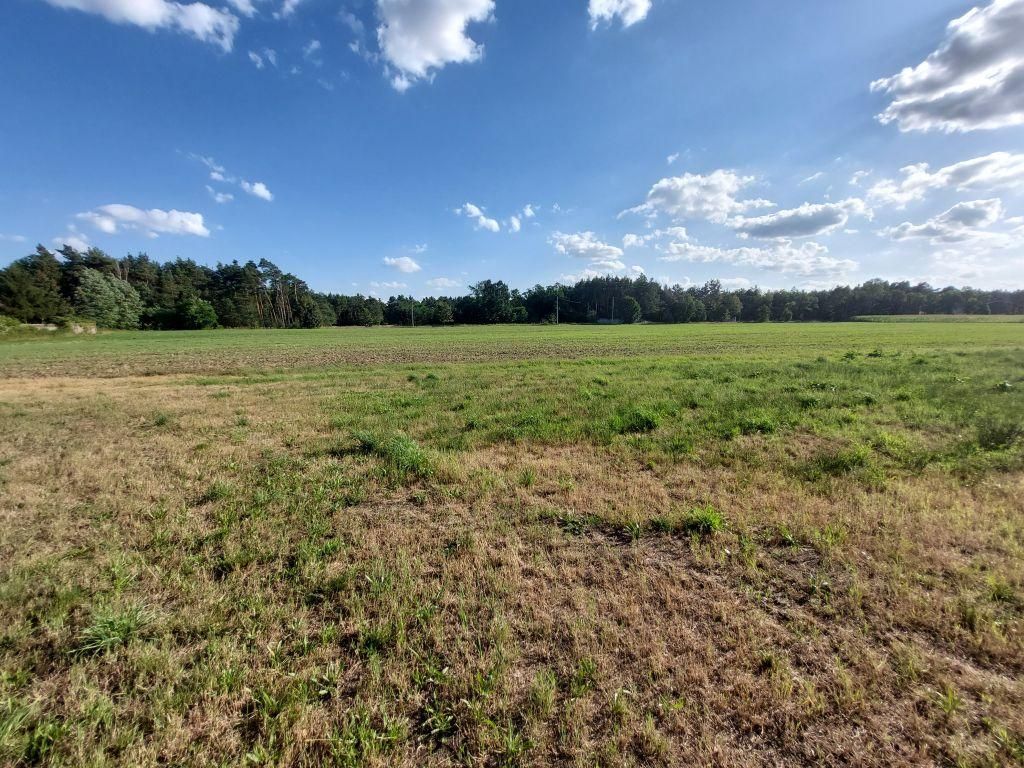 Działka rolno-budowlana Zamęty. Zdjęcie 5