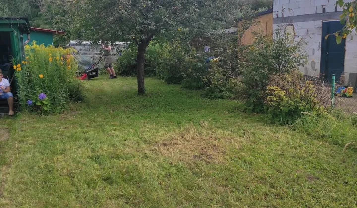 Działka rod Chojnice, ul. Kościerska