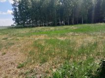 Działka rolno-budowlana Babiec-Więczanki. Zdjęcie 1
