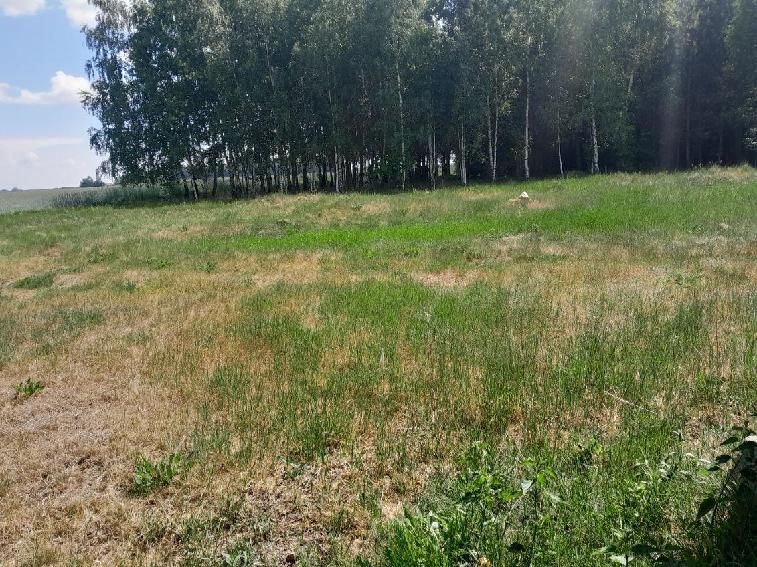 Działka rolno-budowlana Babiec-Więczanki. Zdjęcie 2