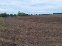 Działka rolna Wilków. Zdjęcie 1