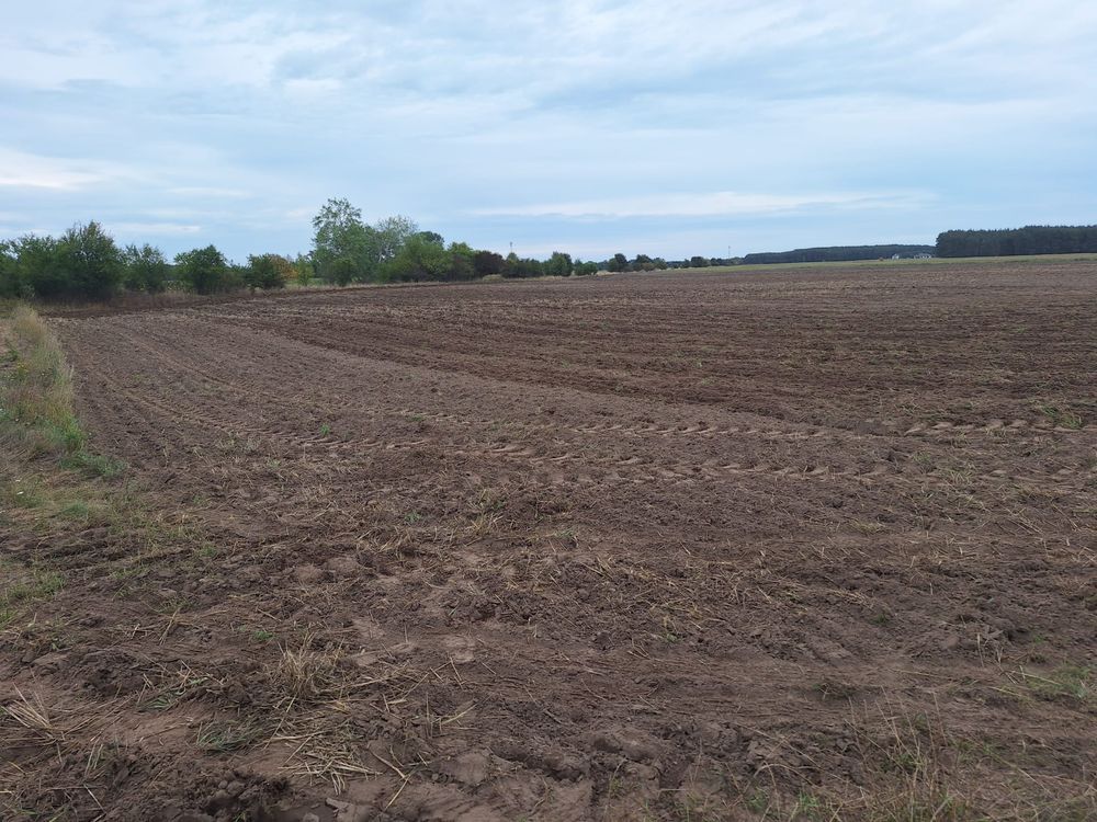 Działka rolna Wilków. Zdjęcie 2