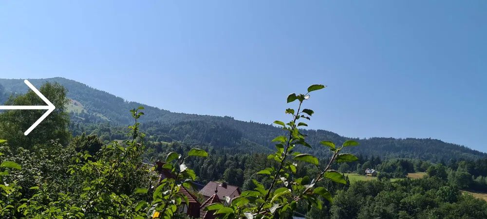 Działka rolna Krzyżówki. Zdjęcie 1