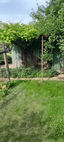 Działka rod Nysa, ul. Jagiellońska. Zdjęcie 1